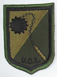 Computerized Badge